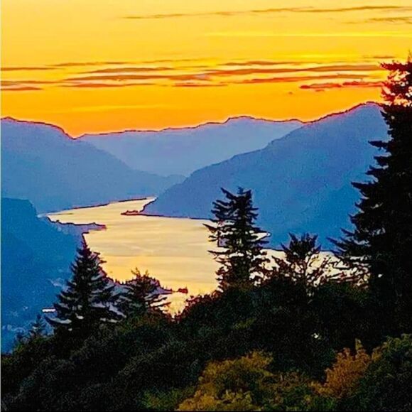 BUNDLE 2 OR MORE ITEMS GET 25% OFF. - Picture 1 of 1